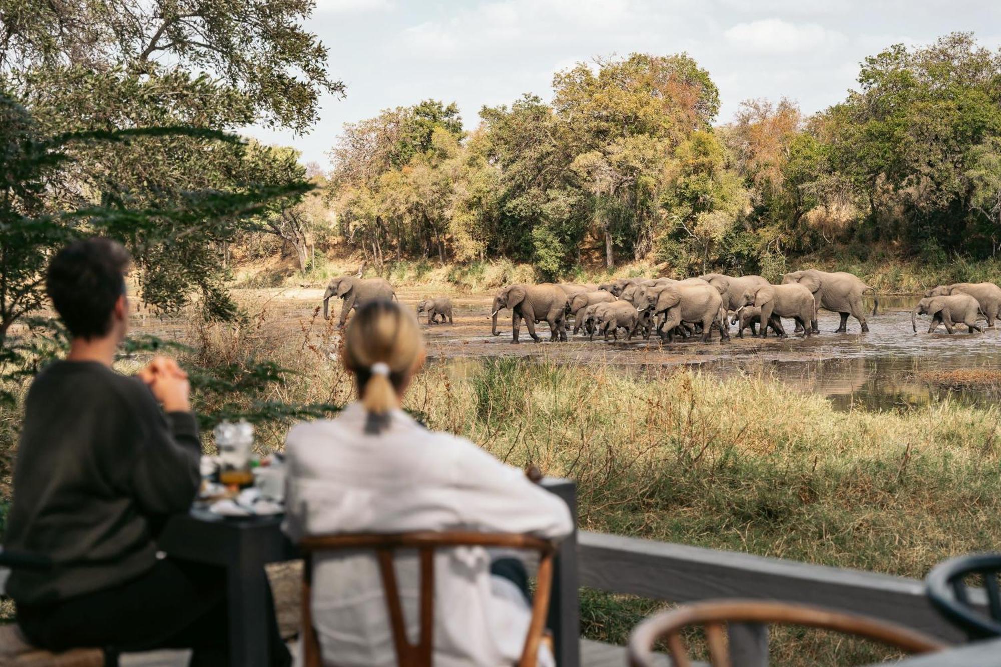 Simbavati River Lodge Тімбаваті-Ґейм-Резерв Екстер'єр фото