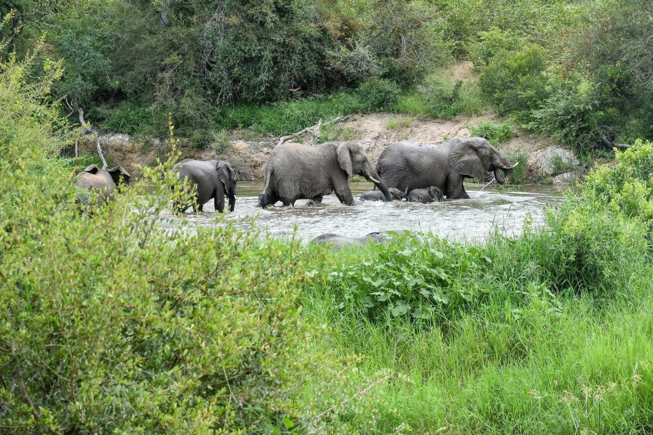 Simbavati River Lodge Тімбаваті-Ґейм-Резерв Екстер'єр фото