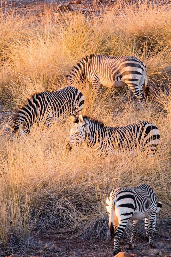 Simbavati River Lodge Тімбаваті-Ґейм-Резерв Екстер'єр фото
